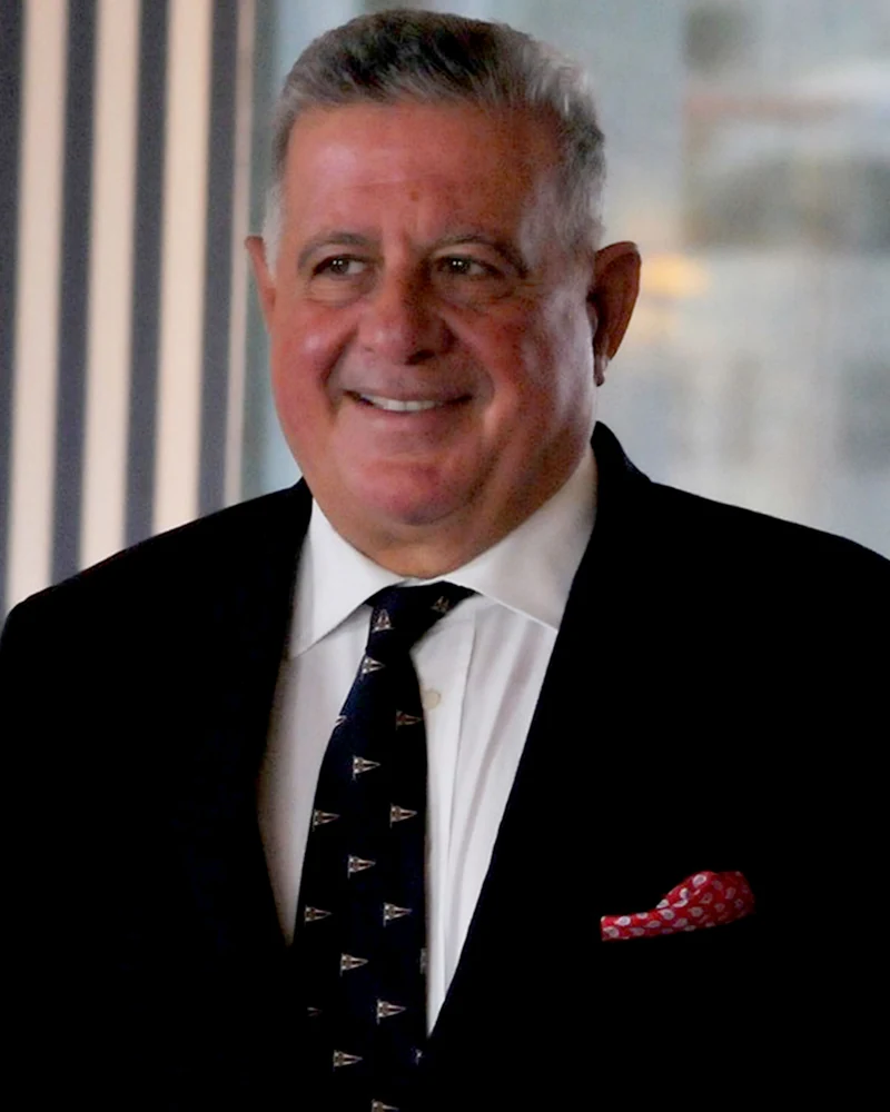 Vasilios Politis Vasilios Politis — Member of the Board of Directors, Hellenic Chamber of Shipping · Institutional Representative for Maritime Tourism